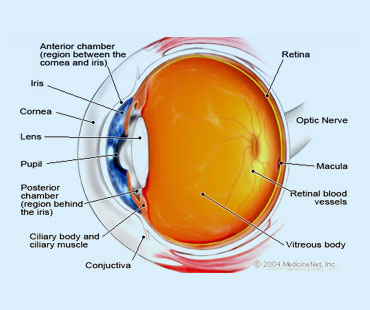 eyecare medical